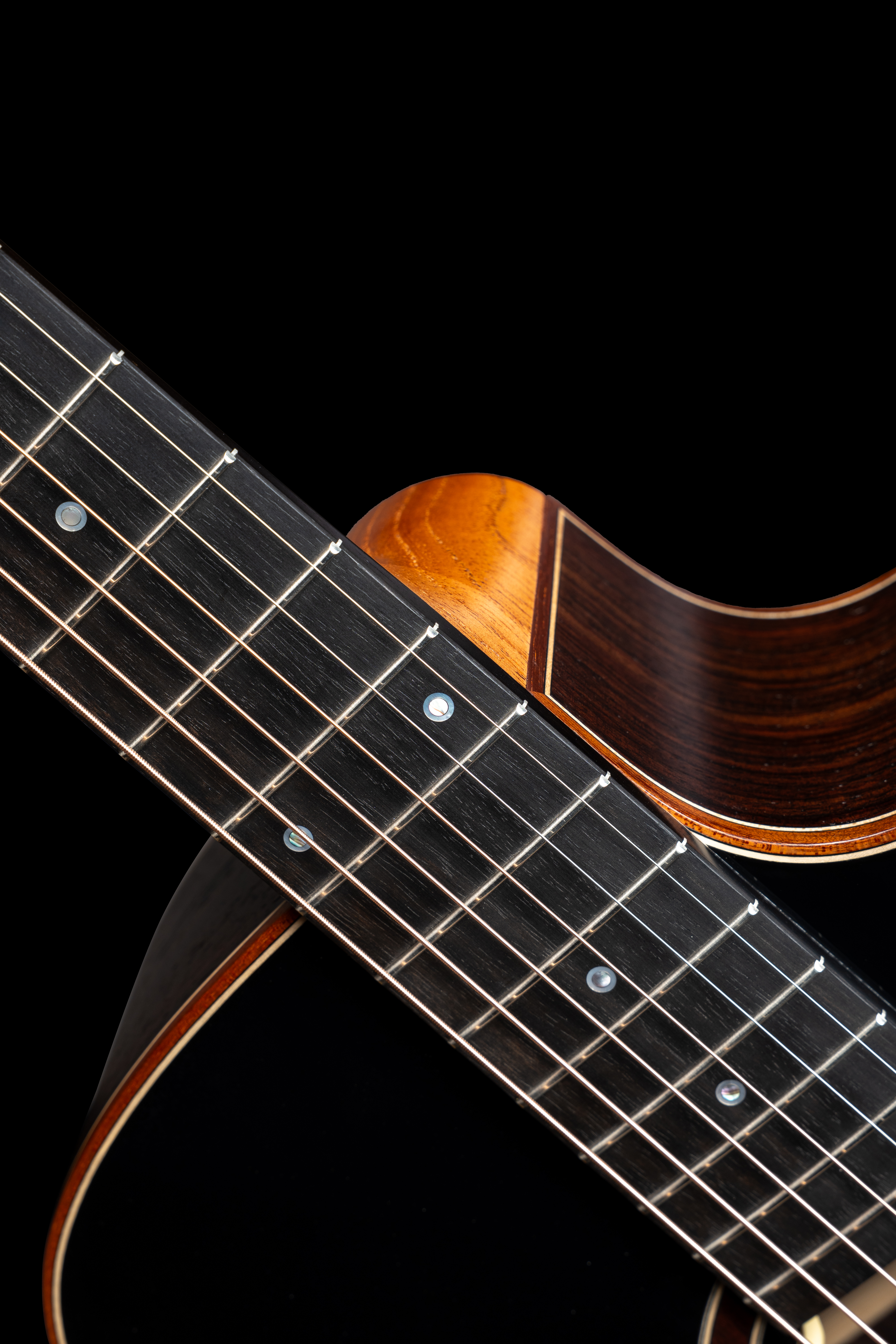 D-31 CP Natural