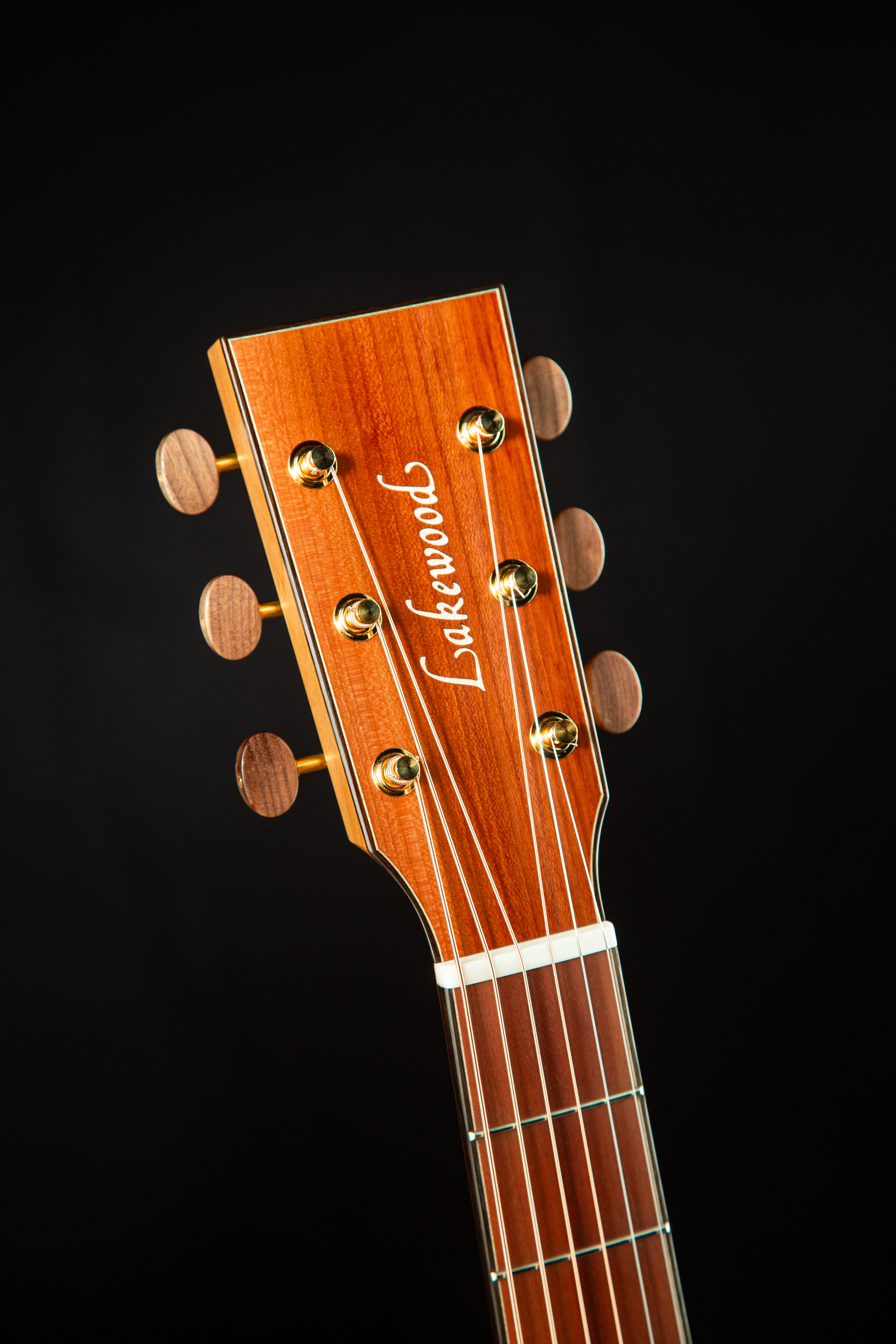 M-25 CP European Wood